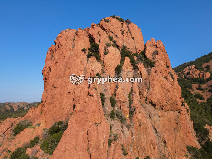 Esterel - affleurement de rhyolite - gryphea.com